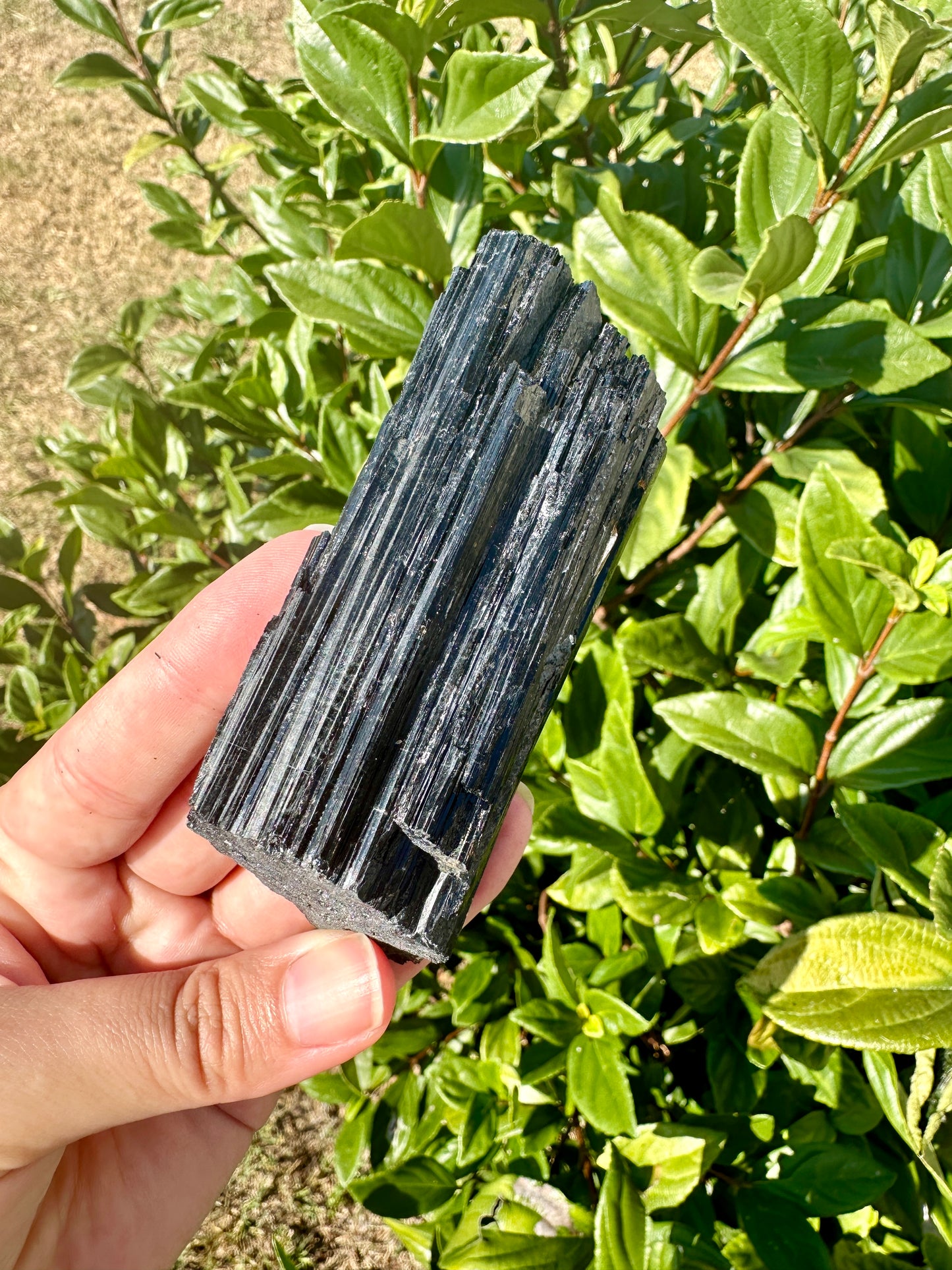 Raw Black Tourmaline Crystal - Natural Healing Stone - Protective Gemstone for Energy Clearing - Perfect Gift for Crystal Lovers