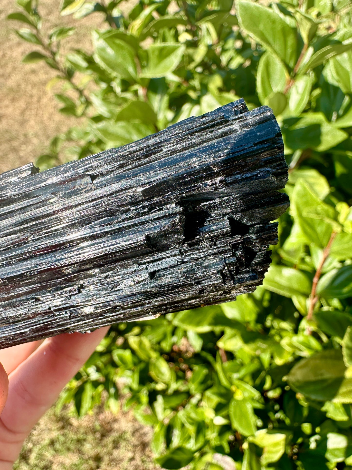 Raw Black Tourmaline Crystal - Natural Healing Stone - Protective Gemstone for Energy Clearing - Perfect Gift for Crystal Lovers