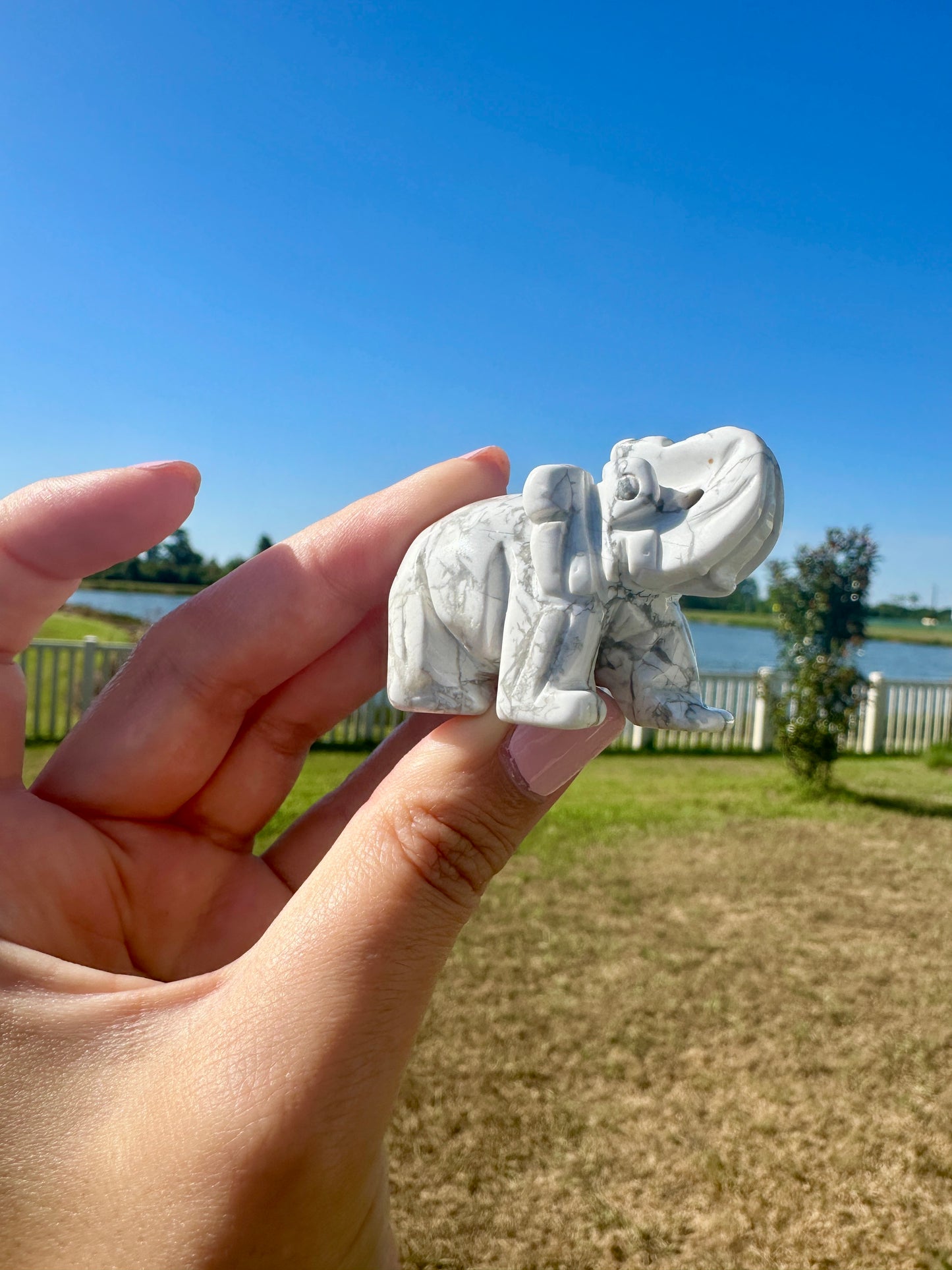 Beautiful Howlite Elephant Carving - Unique Healing Stone Sculpture for Home Decor and Positive Energy Gifts