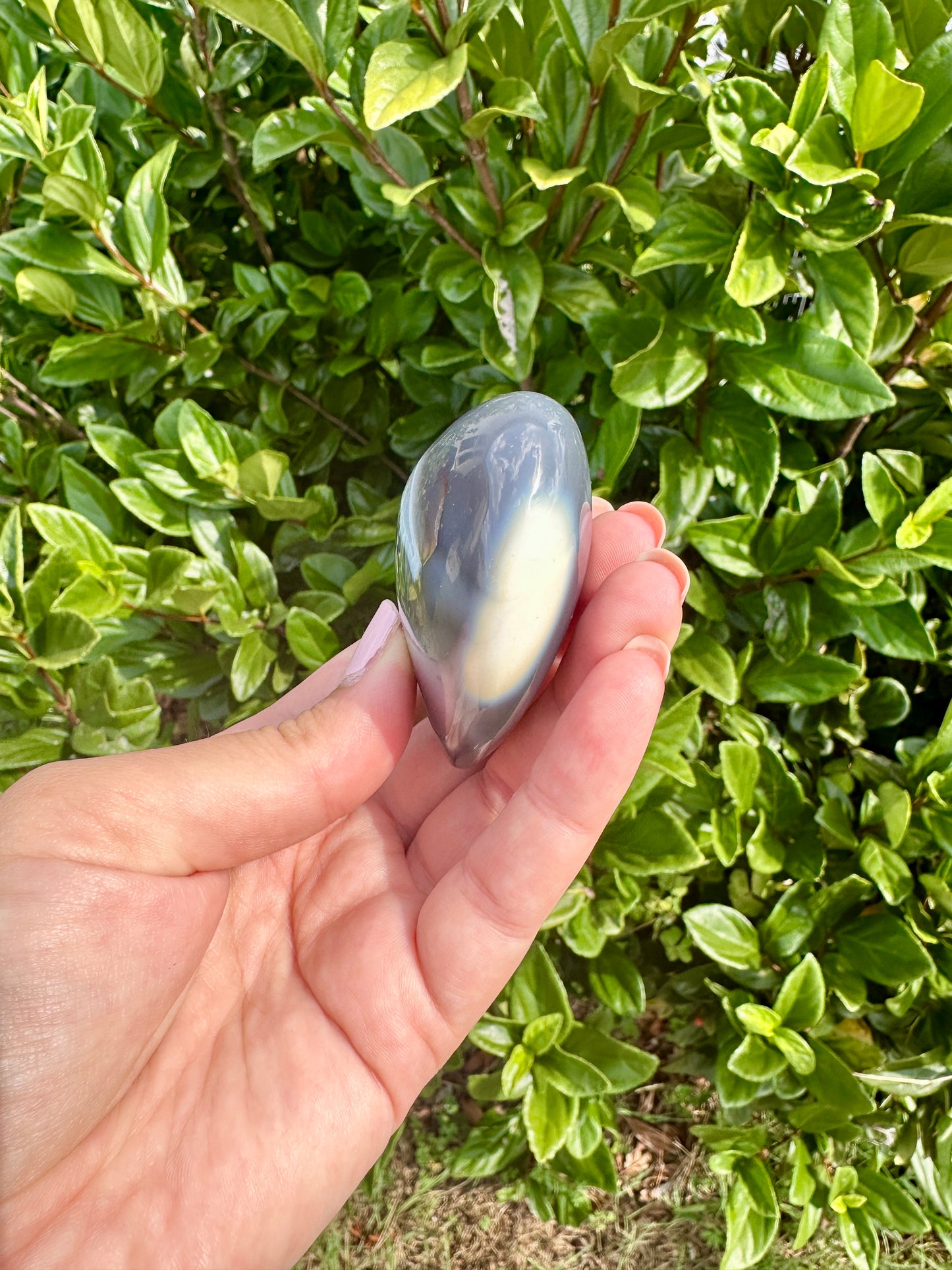 Orca Agate Heart - Dive into Emotional Healing and Oceanic Serenity, Perfect for Love and Calmness, Ideal for Meditation and Romantic Decor