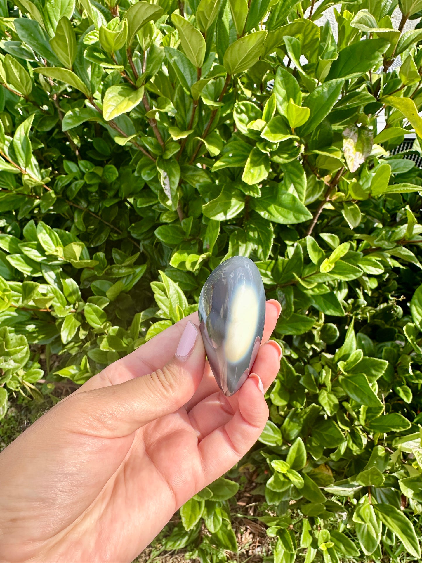 Orca Agate Heart - Dive into Emotional Healing and Oceanic Serenity, Perfect for Love and Calmness, Ideal for Meditation and Romantic Decor