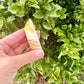 Yellow Calcite Moon Bowl, Natural Healing Crystal Decor, Spiritual Meditation, Unique Home Decor, Reiki Energy, Crystal Holder, Gift Idea