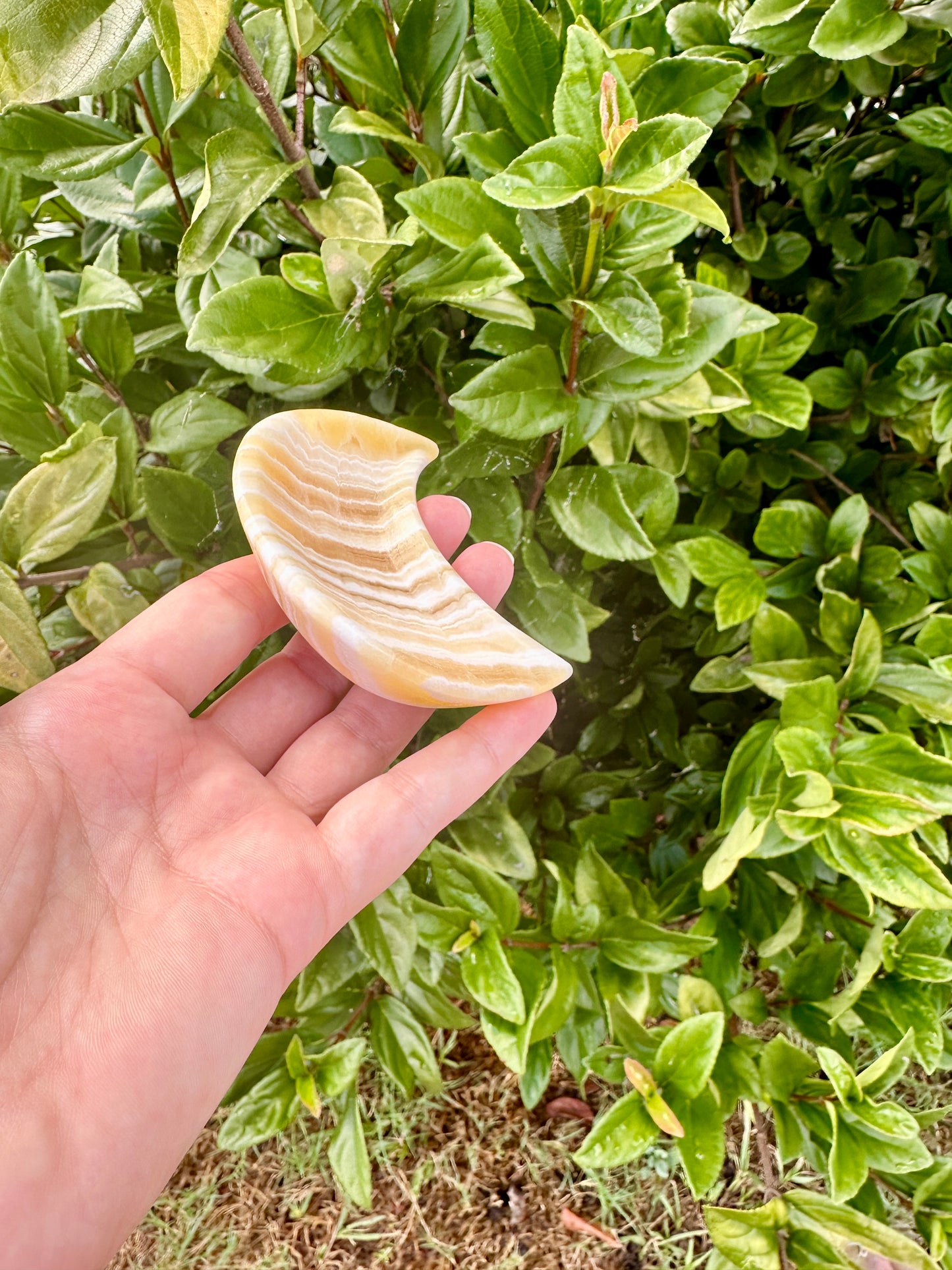 Yellow Calcite Moon Bowl, Natural Healing Crystal Decor, Spiritual Meditation, Unique Home Decor, Reiki Energy, Crystal Holder, Gift Idea