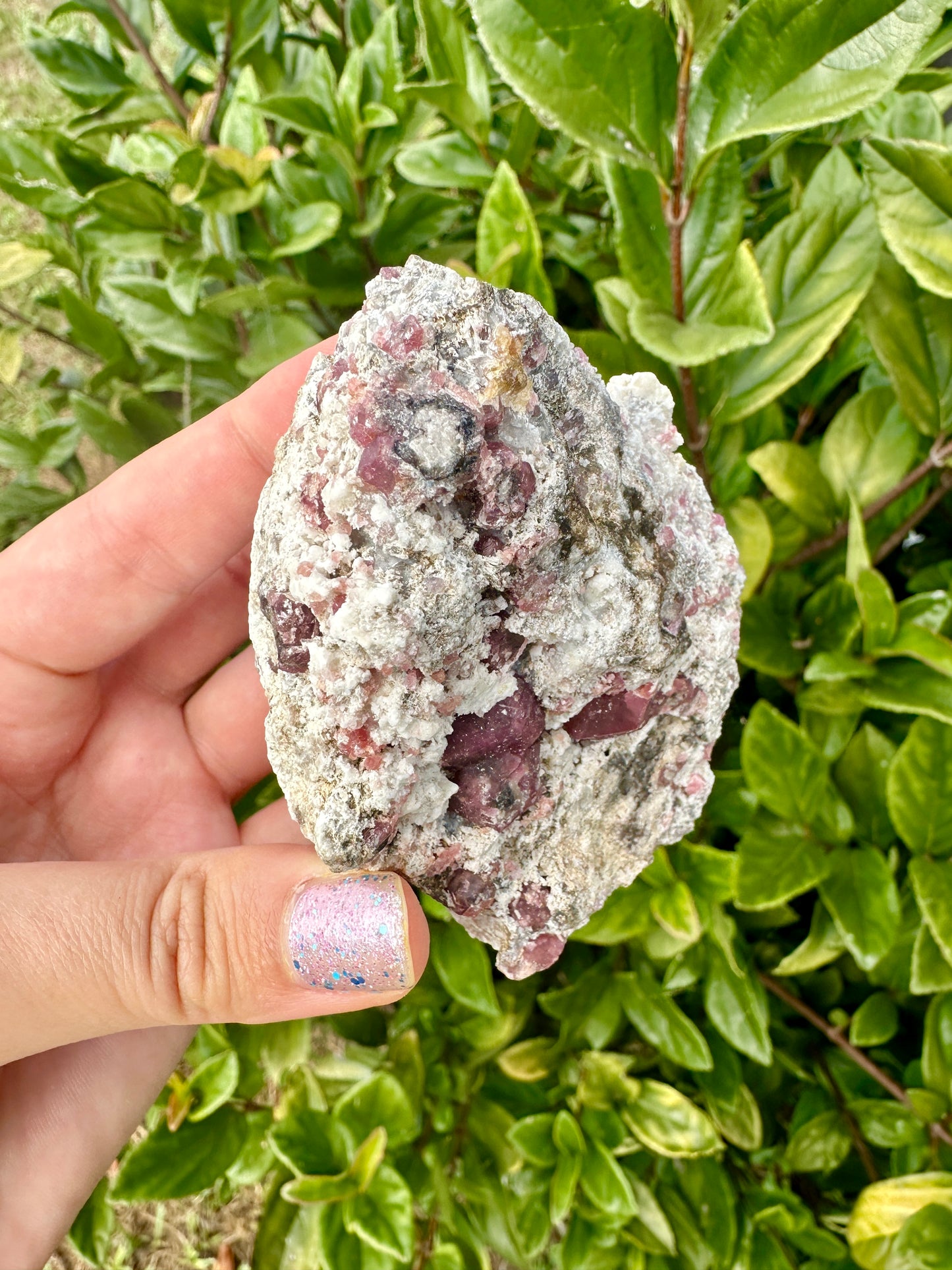 Rare Grossular Garnet with Vesuvianite Specimen from Sierra De Cruces, Coahuila, Mexico, Natural Crystal Collection, Unique Mineral Display