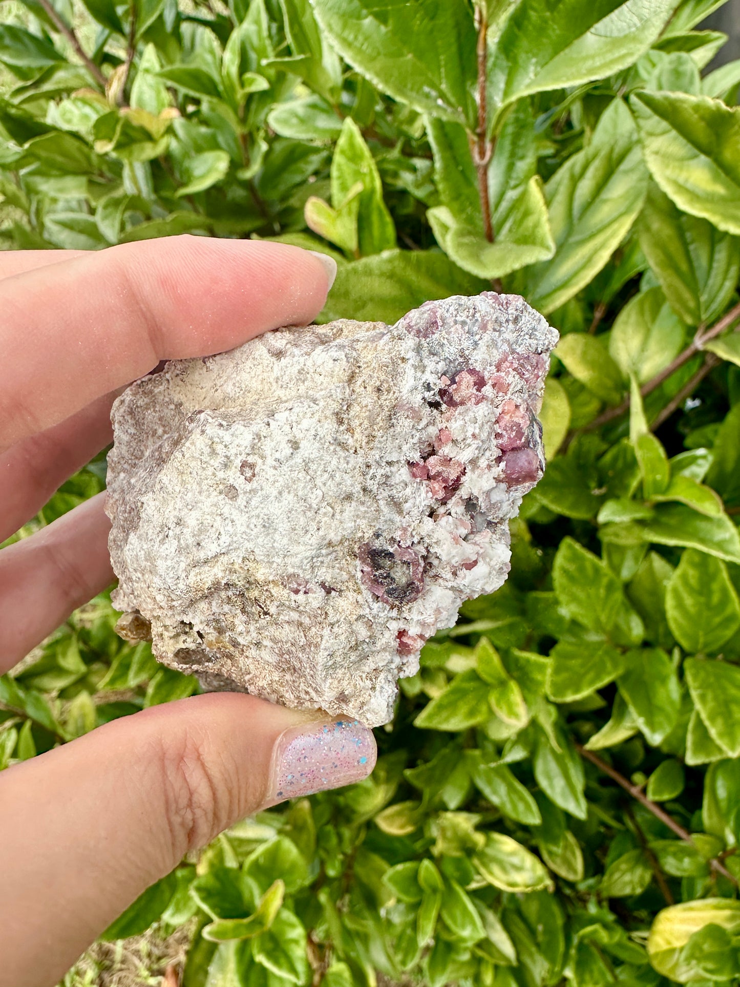 Rare Grossular Garnet with Vesuvianite Specimen from Sierra De Cruces, Coahuila, Mexico, Natural Crystal Collection, Unique Mineral Display