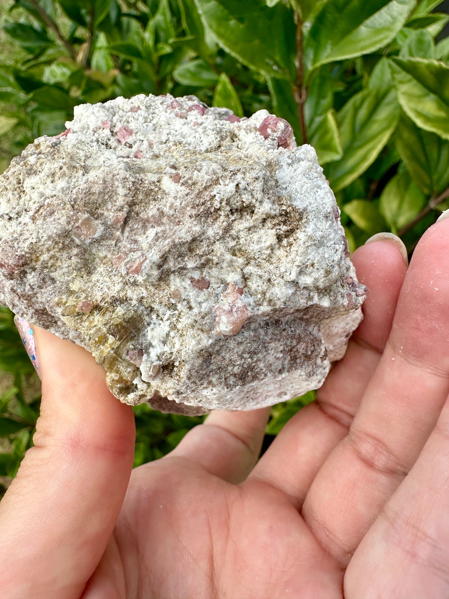 Rare Grossular Garnet with Vesuvianite Specimen from Sierra De Cruces, Coahuila, Mexico, Natural Crystal Collection, Unique Mineral Display