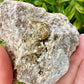 Rare Grossular Garnet with Vesuvianite Specimen from Sierra De Cruces, Coahuila, Mexico, Natural Crystal Collection, Unique Mineral Display