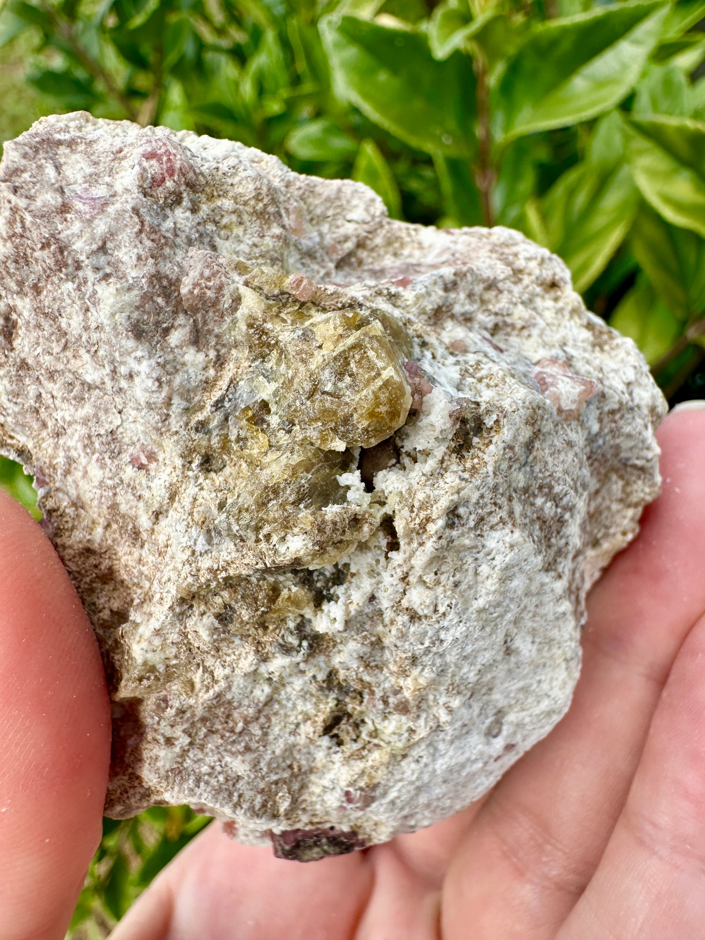 Rare Grossular Garnet with Vesuvianite Specimen from Sierra De Cruces, Coahuila, Mexico, Natural Crystal Collection, Unique Mineral Display