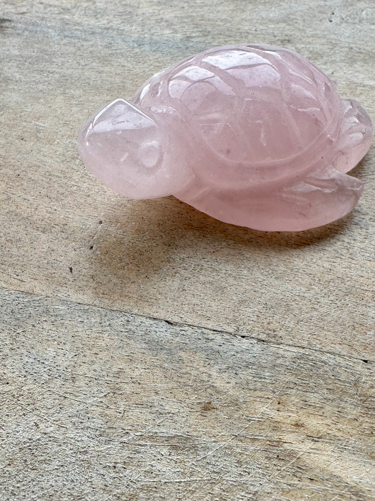 Rose Quartz - Turtle