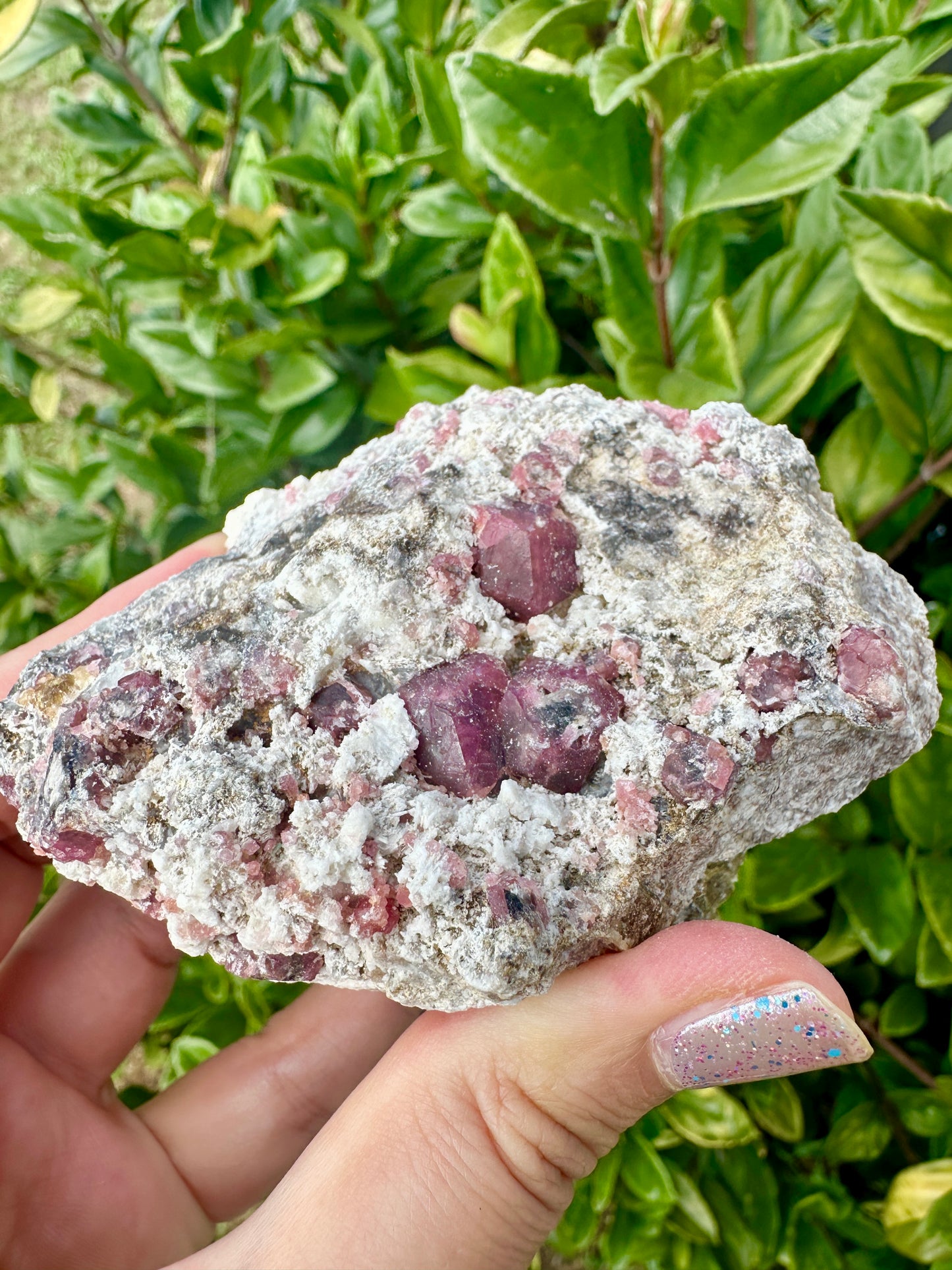 Rare Grossular Garnet with Vesuvianite Specimen from Sierra De Cruces, Coahuila, Mexico, Natural Crystal Collection, Unique Mineral Display