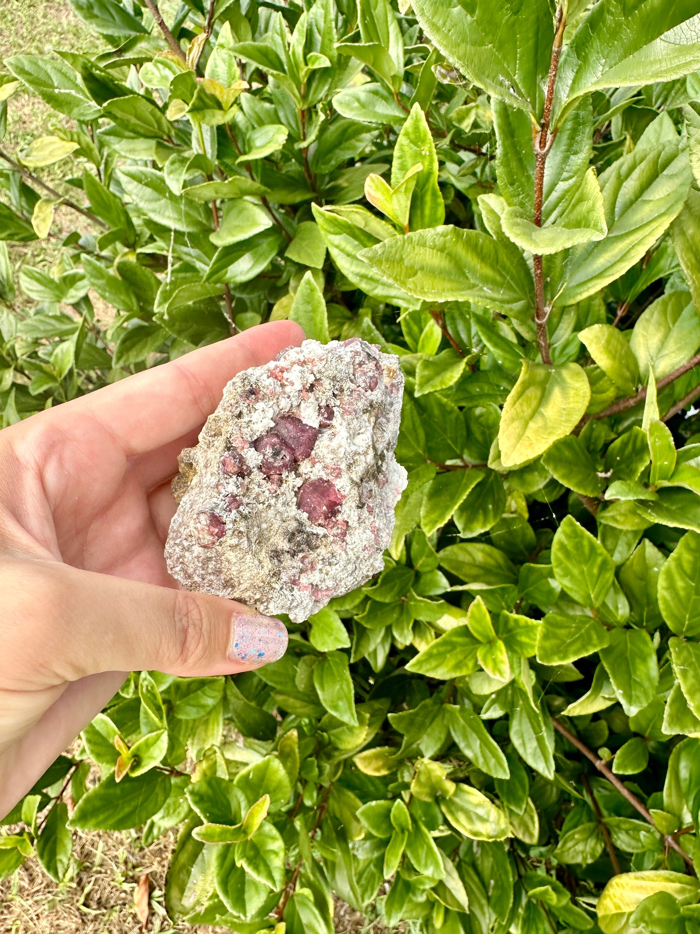 Rare Grossular Garnet with Vesuvianite Specimen from Sierra De Cruces, Coahuila, Mexico, Natural Crystal Collection, Unique Mineral Display