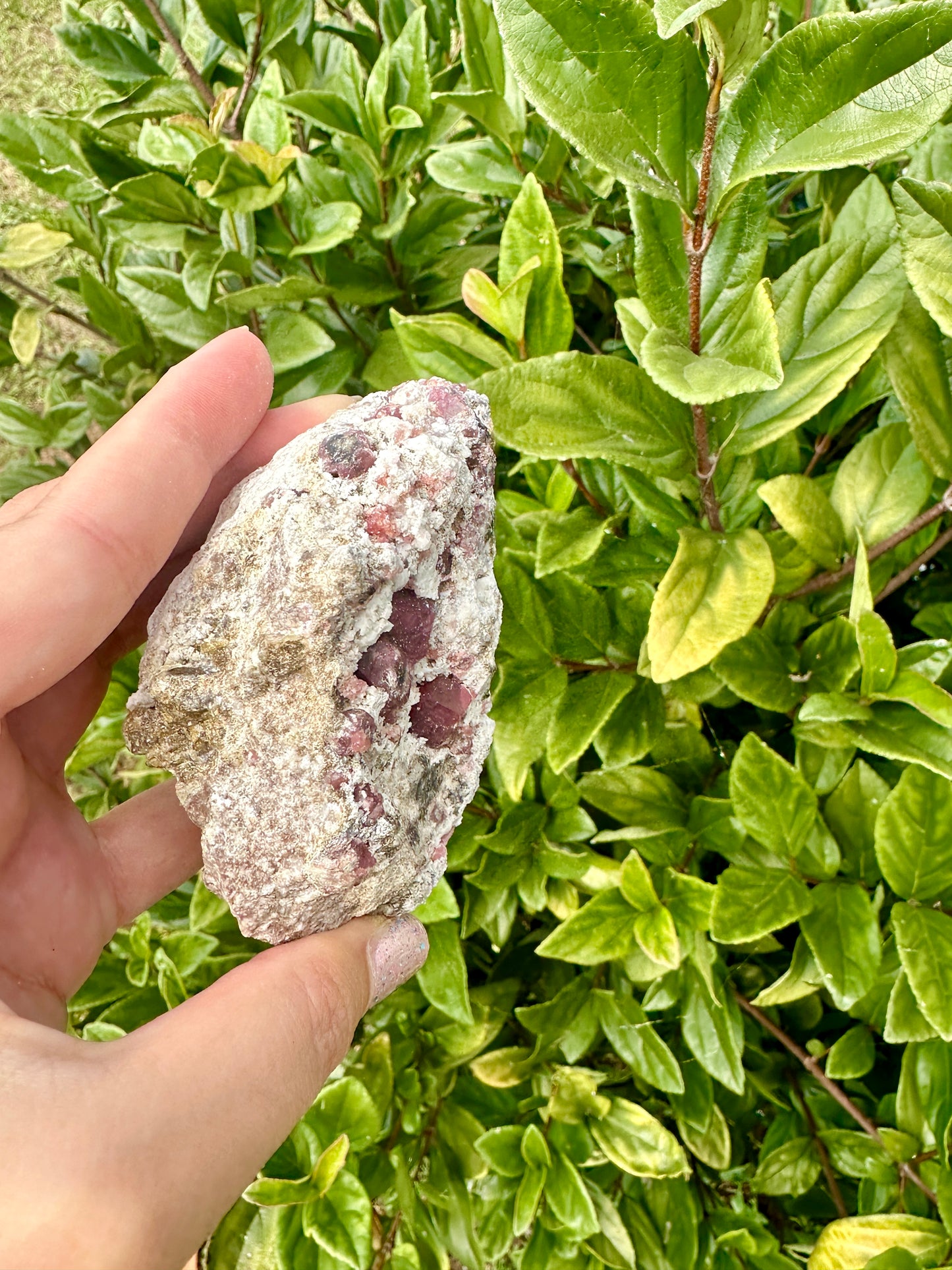 Rare Grossular Garnet with Vesuvianite Specimen from Sierra De Cruces, Coahuila, Mexico, Natural Crystal Collection, Unique Mineral Display