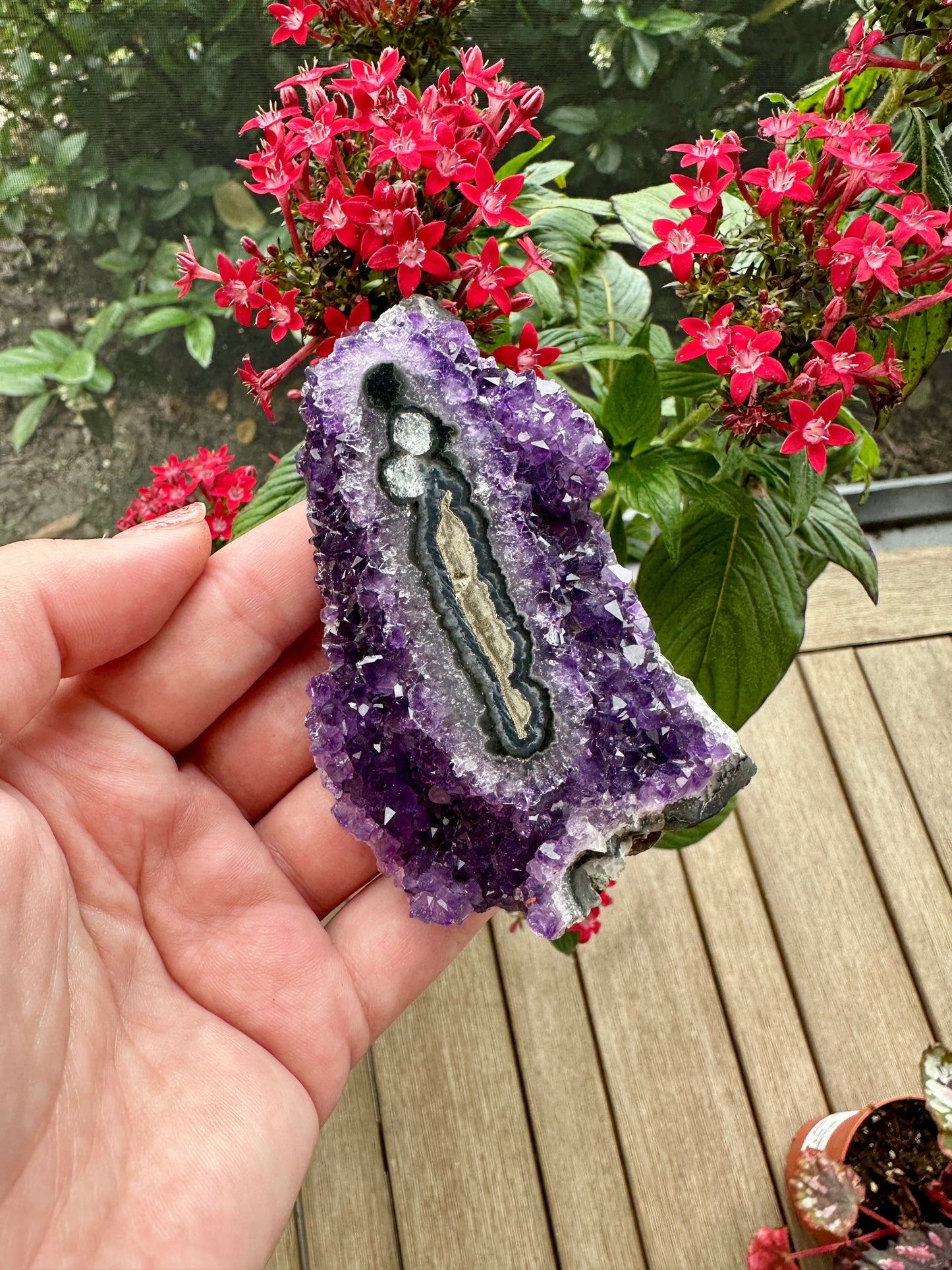Exquisite Uruguayan Amethyst Stalactite - A Majestic Natural Wonder for Collectors and Decor Enthusiasts