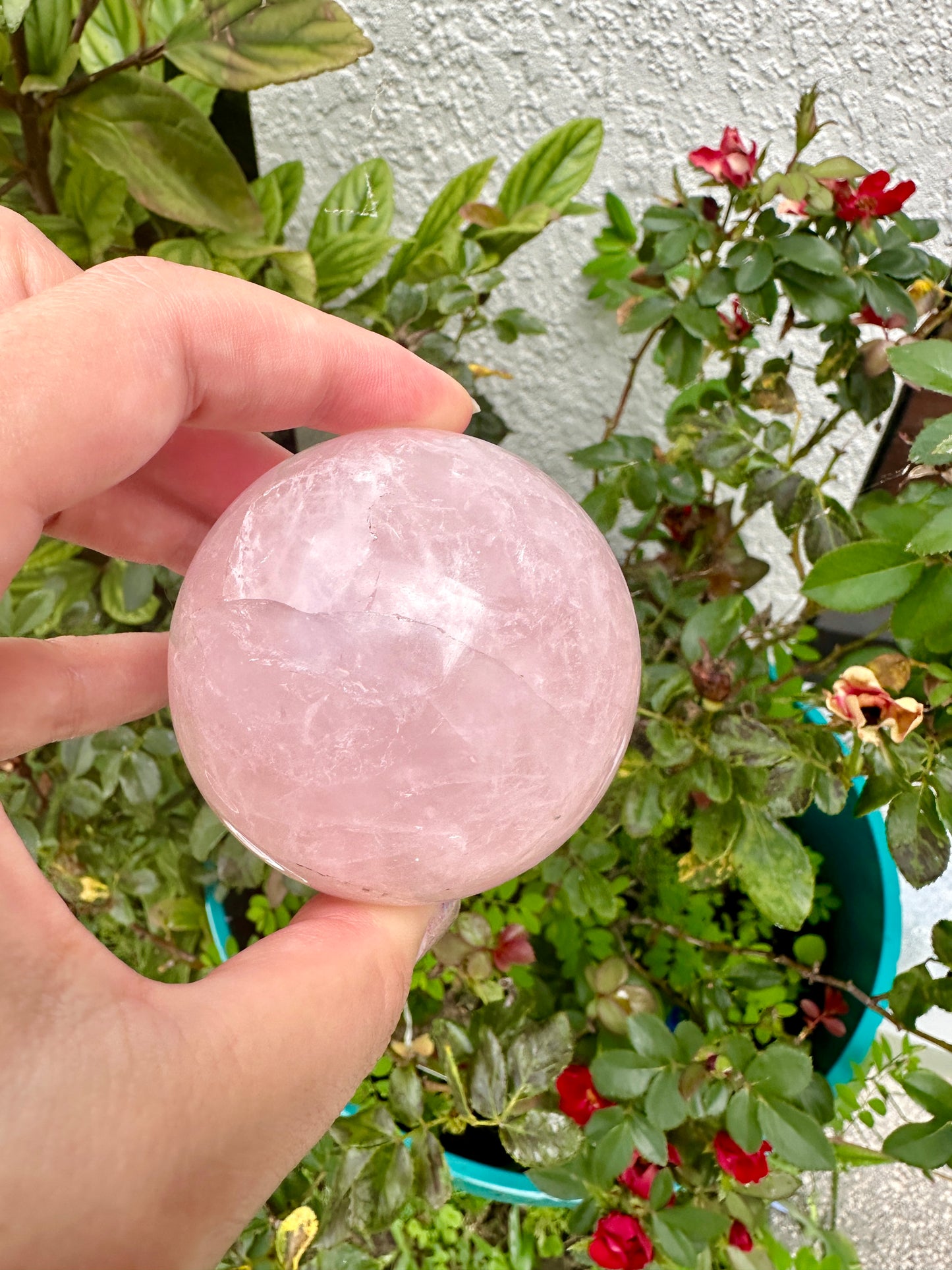 Rose Quartz Sphere – 62.9mm – Natural Healing Crystal Ball – Unique Gemstone Decor – Perfect for Meditation and Home Decor