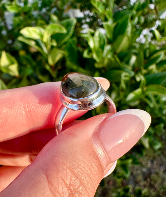 Sophisticated Size 8  Bloodstone Ring in Sterling Silver