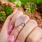 Rose Quartz - Sterling Silver Size 7.25 Ring
