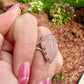 Rose Quartz - Sterling Silver Size 7.25 Ring