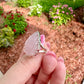 Rose Quartz - Sterling Silver Size 7.25 Ring
