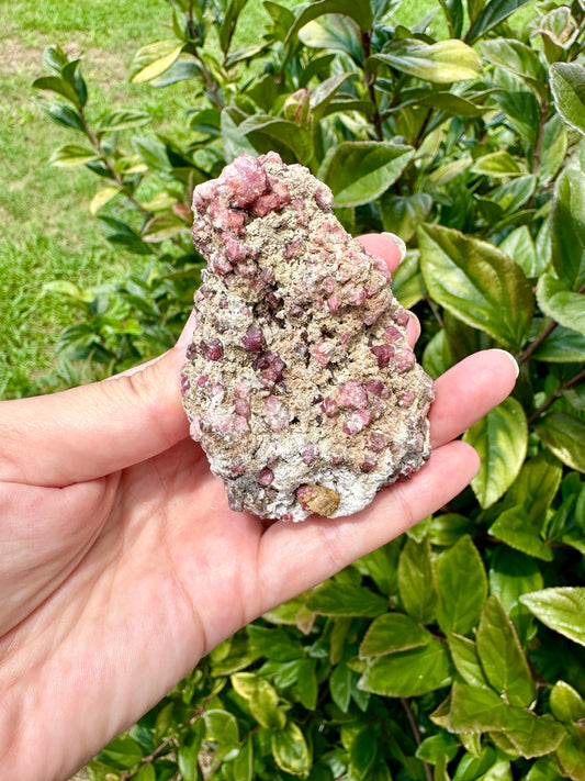 Rare Grossular Garnet with Vesuvianite Specimen from Sierra De Cruces, Coahuila, Mexico, Natural Crystal Collection, Unique Mineral Display