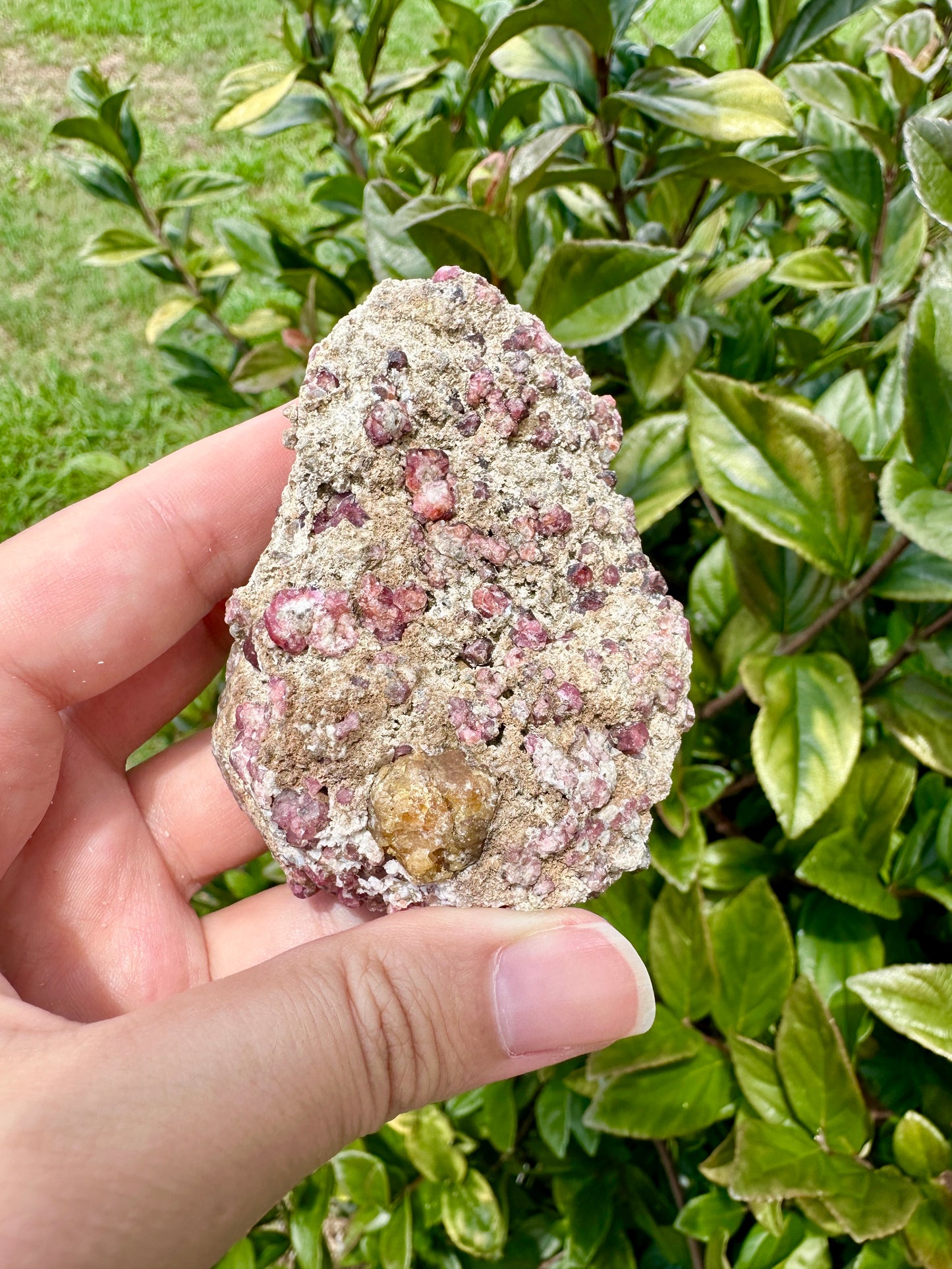 Rare Grossular Garnet with Vesuvianite Specimen from Sierra De Cruces, Coahuila, Mexico, Natural Crystal Collection, Unique Mineral Display