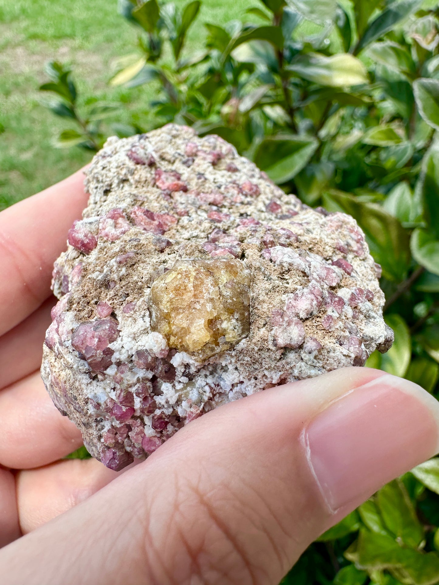 Rare Grossular Garnet with Vesuvianite Specimen from Sierra De Cruces, Coahuila, Mexico, Natural Crystal Collection, Unique Mineral Display