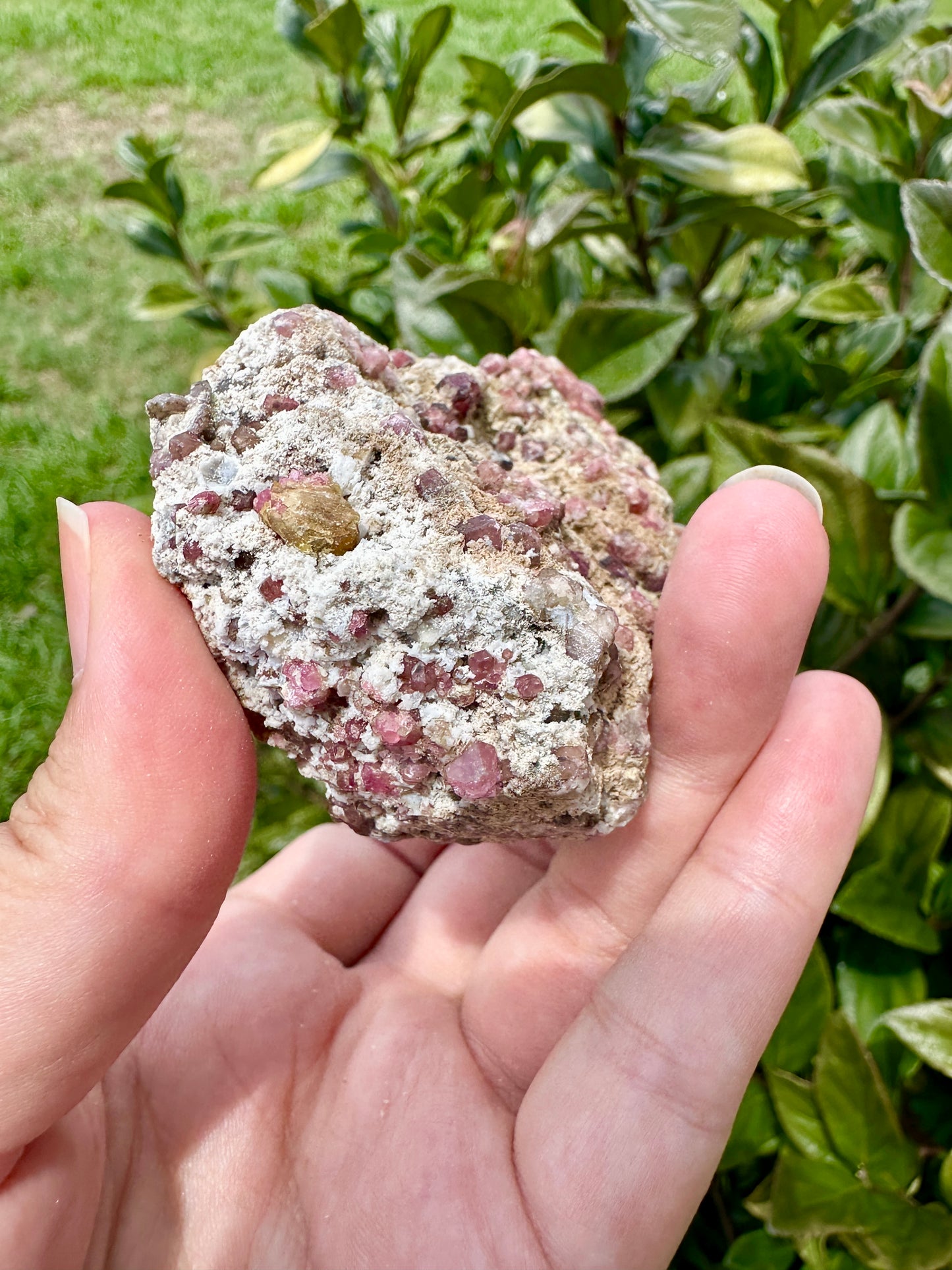 Rare Grossular Garnet with Vesuvianite Specimen from Sierra De Cruces, Coahuila, Mexico, Natural Crystal Collection, Unique Mineral Display