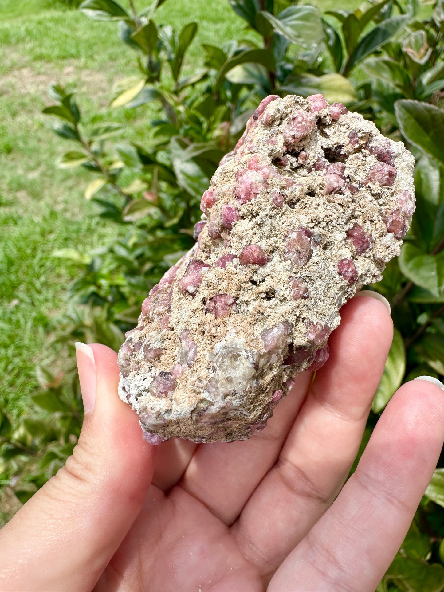 Rare Grossular Garnet with Vesuvianite Specimen from Sierra De Cruces, Coahuila, Mexico, Natural Crystal Collection, Unique Mineral Display