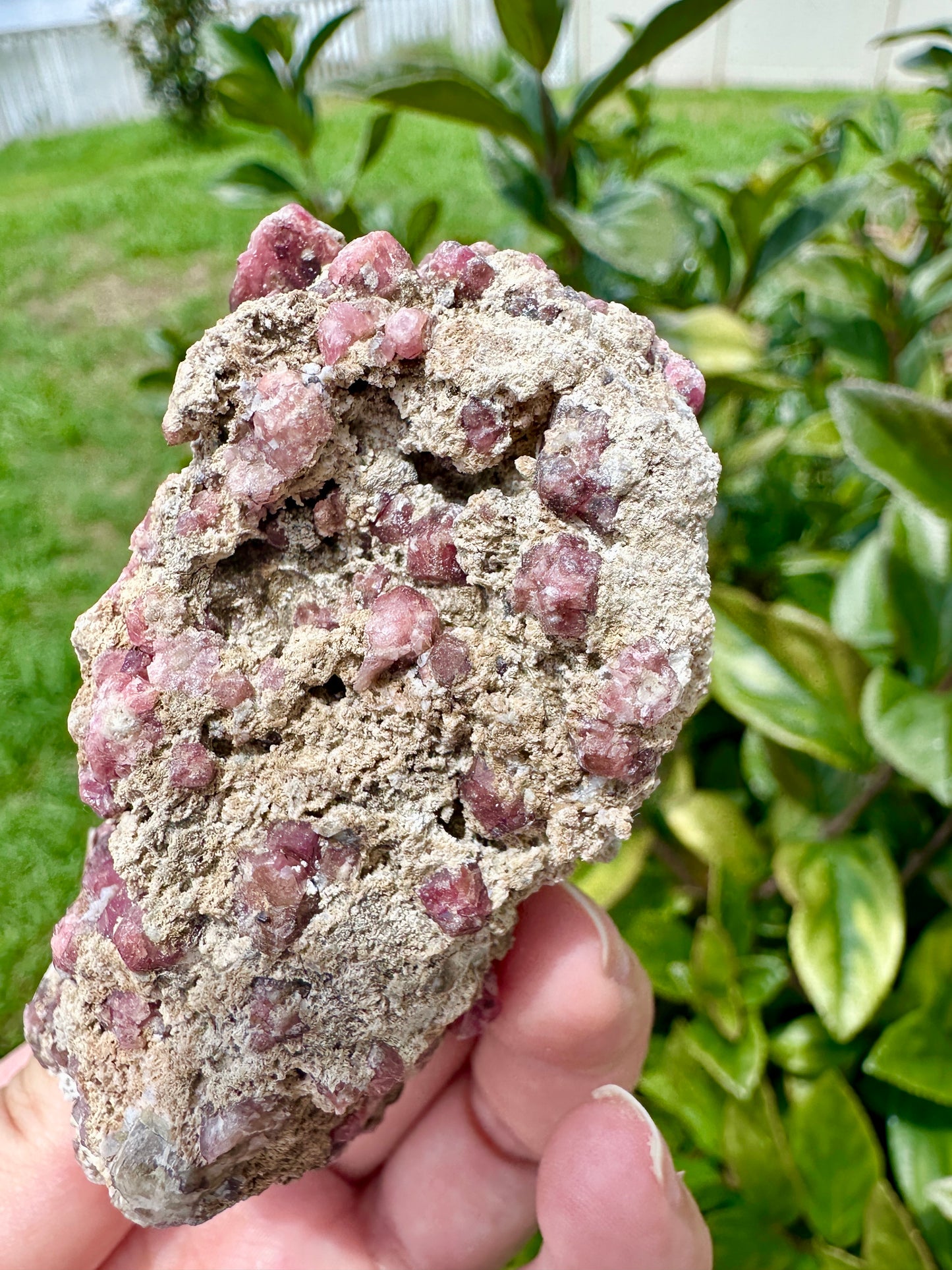 Rare Grossular Garnet with Vesuvianite Specimen from Sierra De Cruces, Coahuila, Mexico, Natural Crystal Collection, Unique Mineral Display