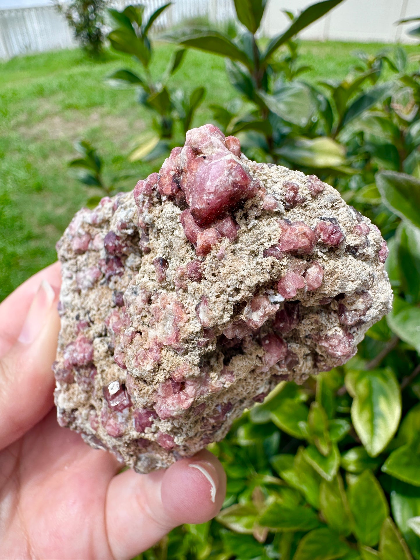 Rare Grossular Garnet with Vesuvianite Specimen from Sierra De Cruces, Coahuila, Mexico, Natural Crystal Collection, Unique Mineral Display