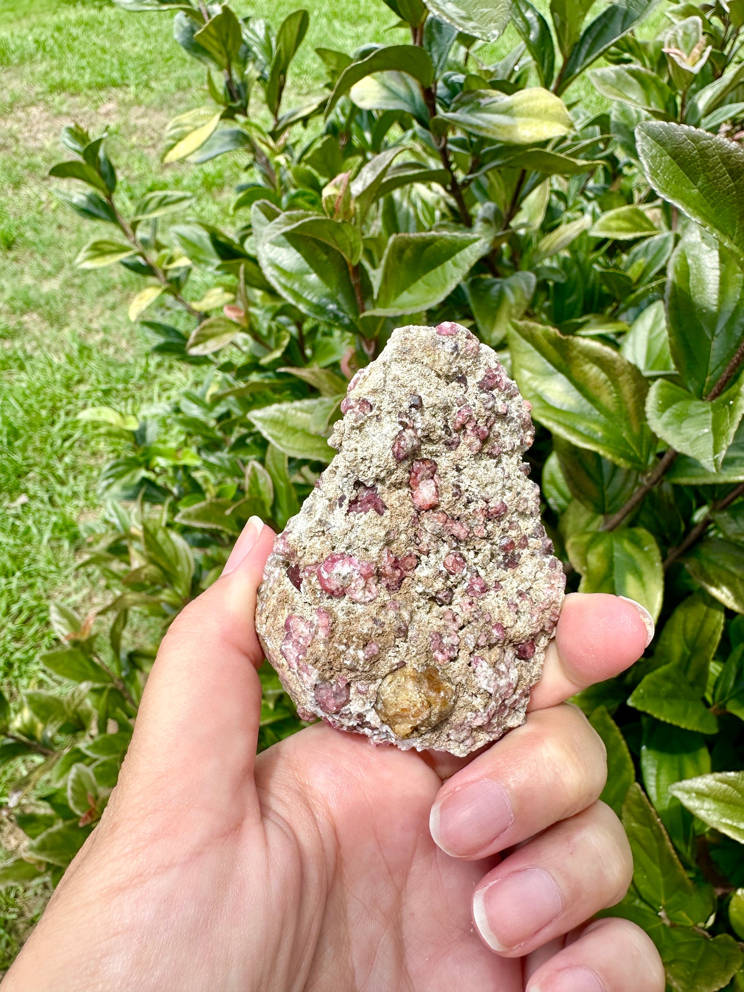 Rare Grossular Garnet with Vesuvianite Specimen from Sierra De Cruces, Coahuila, Mexico, Natural Crystal Collection, Unique Mineral Display