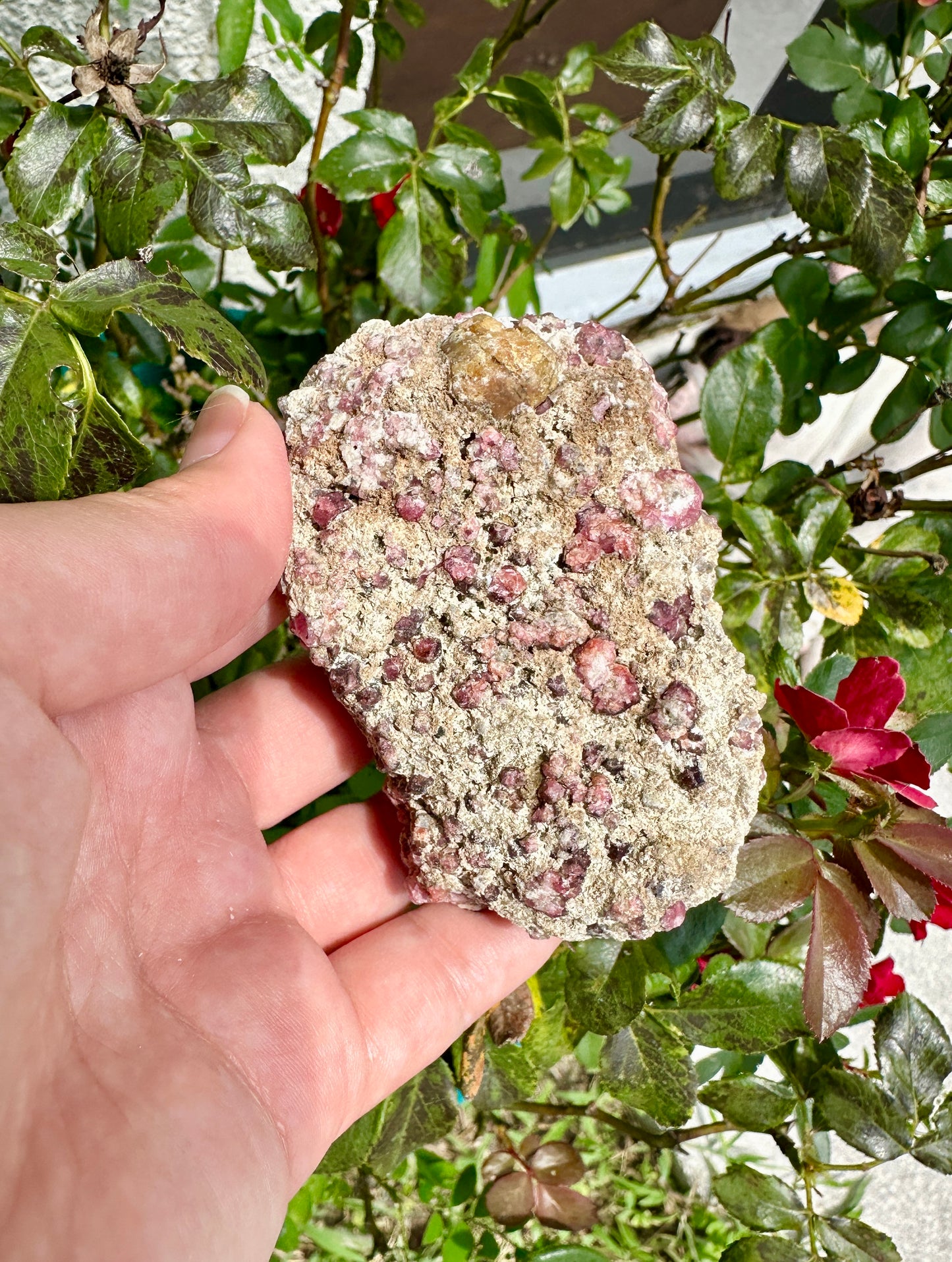 Rare Grossular Garnet with Vesuvianite Specimen from Sierra De Cruces, Coahuila, Mexico, Natural Crystal Collection, Unique Mineral Display