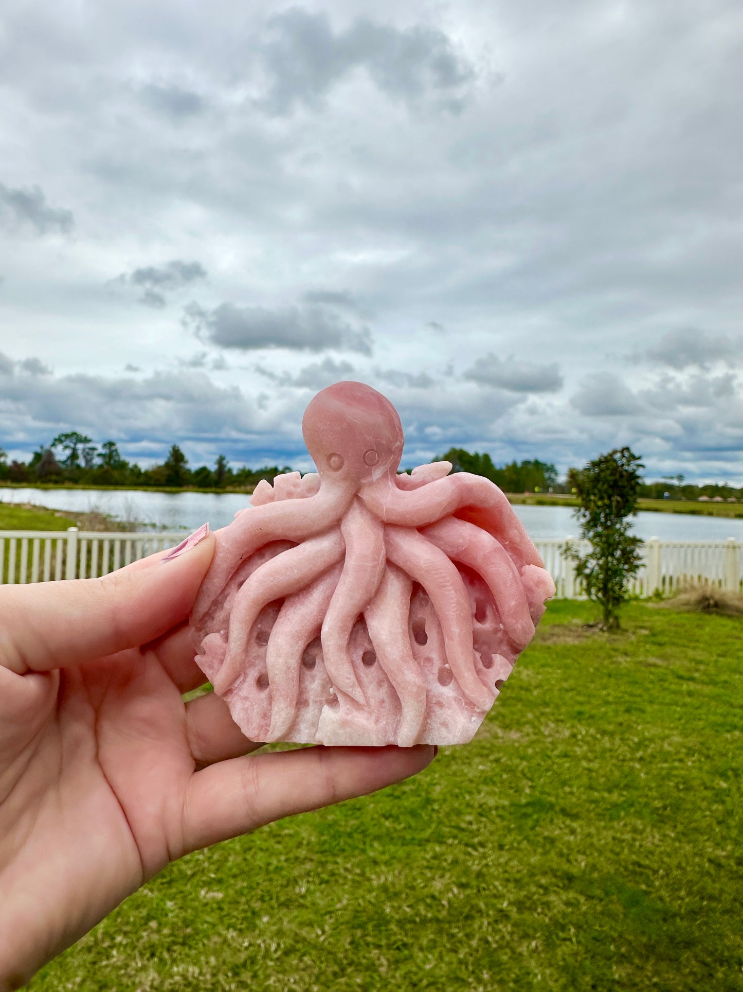 Pink Opal Octopus - Self Healing