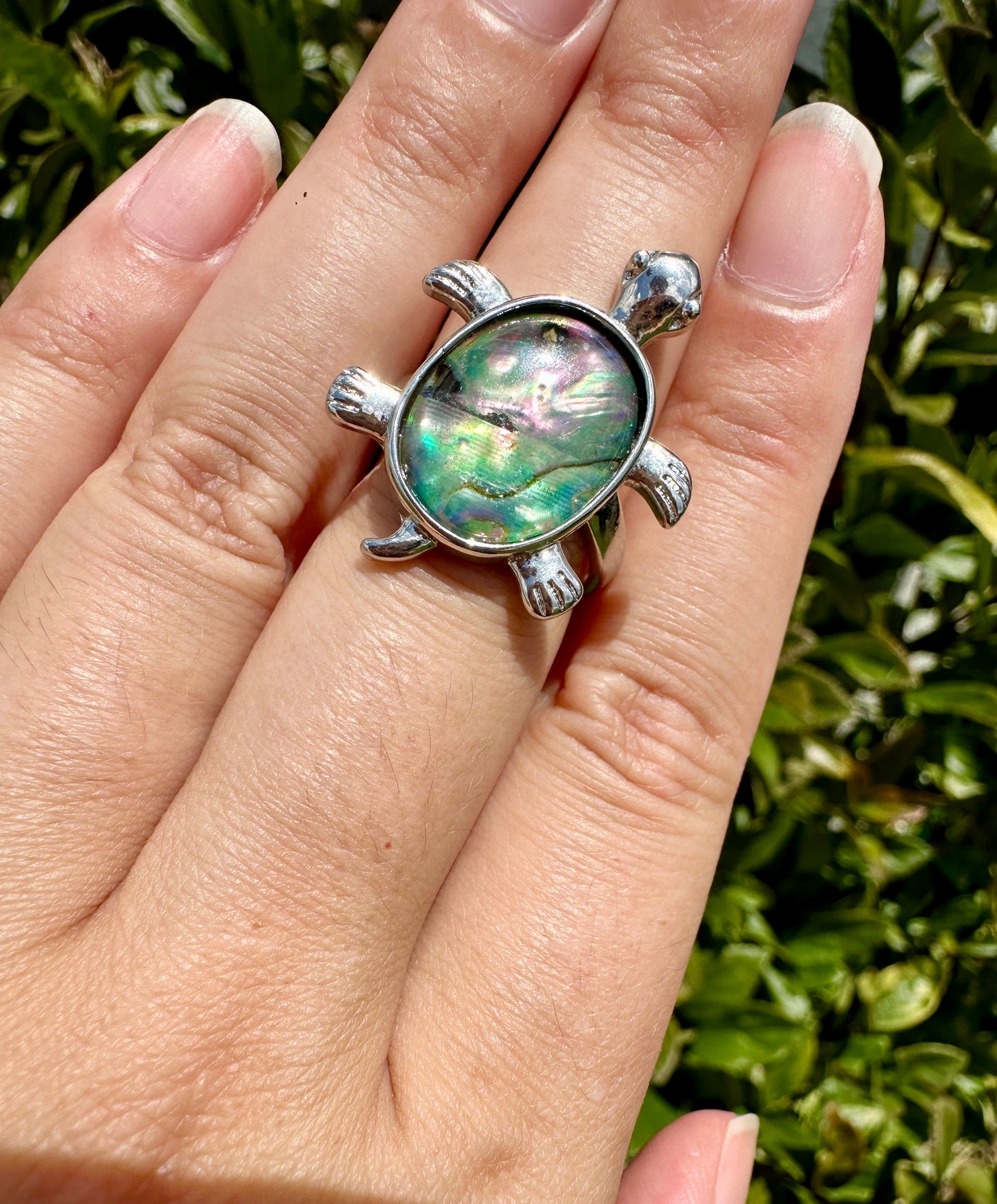 Stunning Ammonite Stainless Steel Adjustable Ring - Natural Fossil Jewelry for Healing, Fashion, and Gift Giving