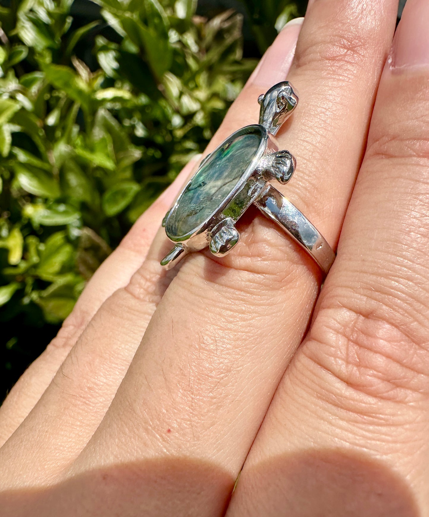 Stunning Ammonite Stainless Steel Adjustable Ring - Natural Fossil Jewelry for Healing, Fashion, and Gift Giving