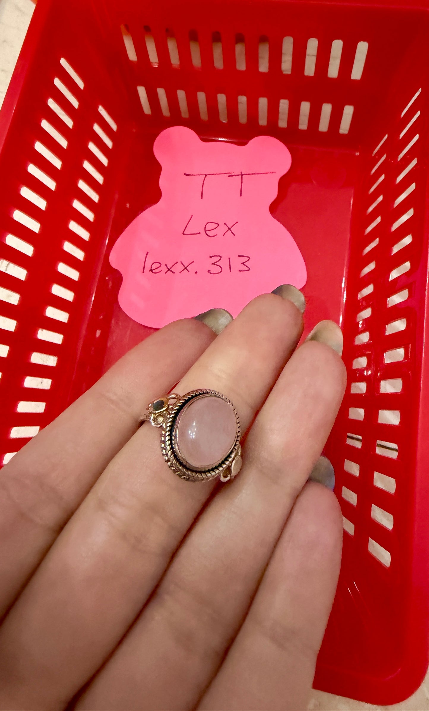 lexx.313