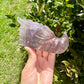 Fluorite Dragon Head – Unique Crystal Sculpture, Healing Stone, Home Decor, Feng Shui, Gift for Crystal Collectors