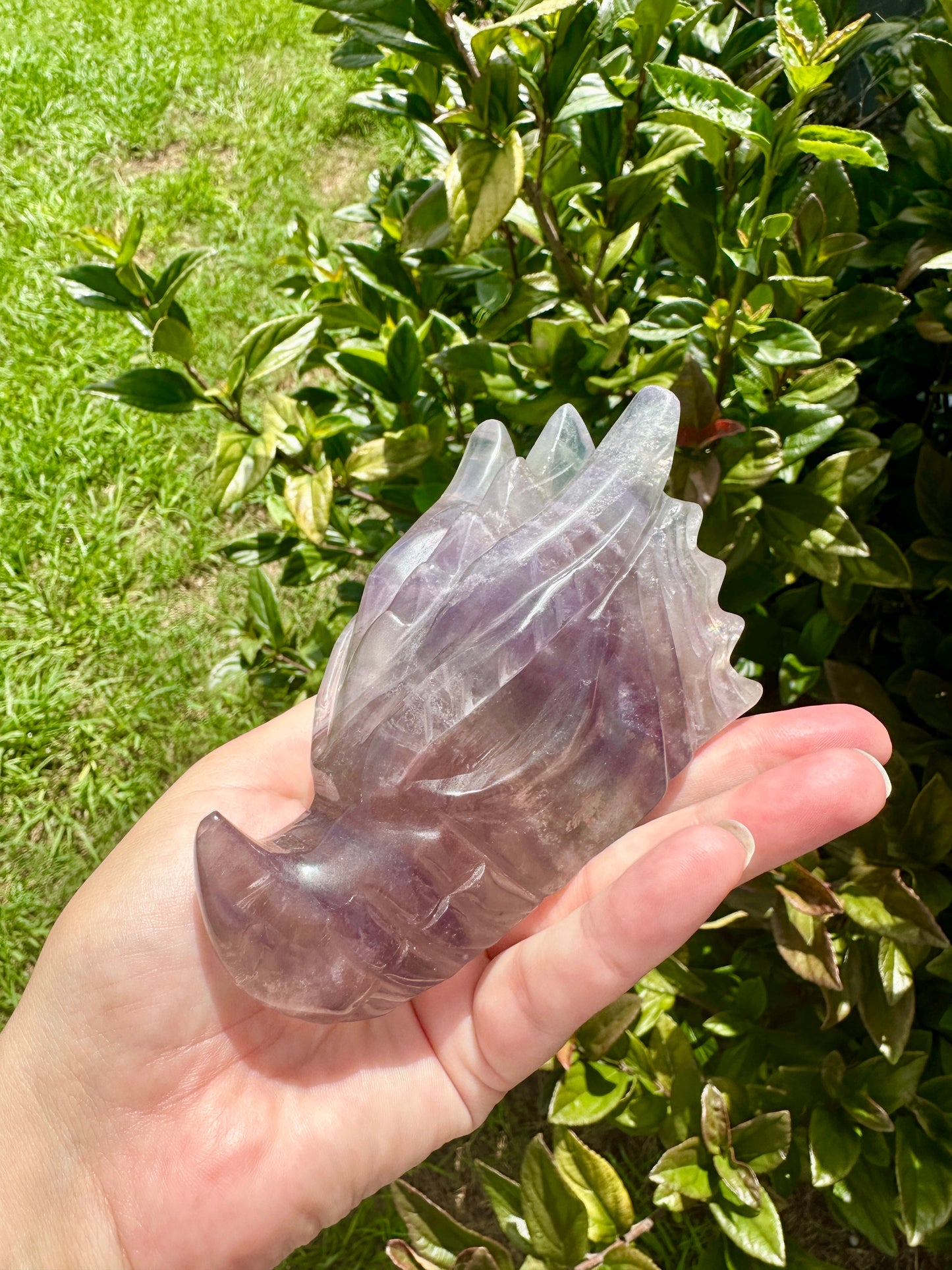 Fluorite Dragon Head – Unique Crystal Sculpture, Healing Stone, Home Decor, Feng Shui, Gift for Crystal Collectors