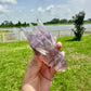 Fluorite Dragon Head – Unique Crystal Sculpture, Healing Stone, Home Decor, Feng Shui, Gift for Crystal Collectors