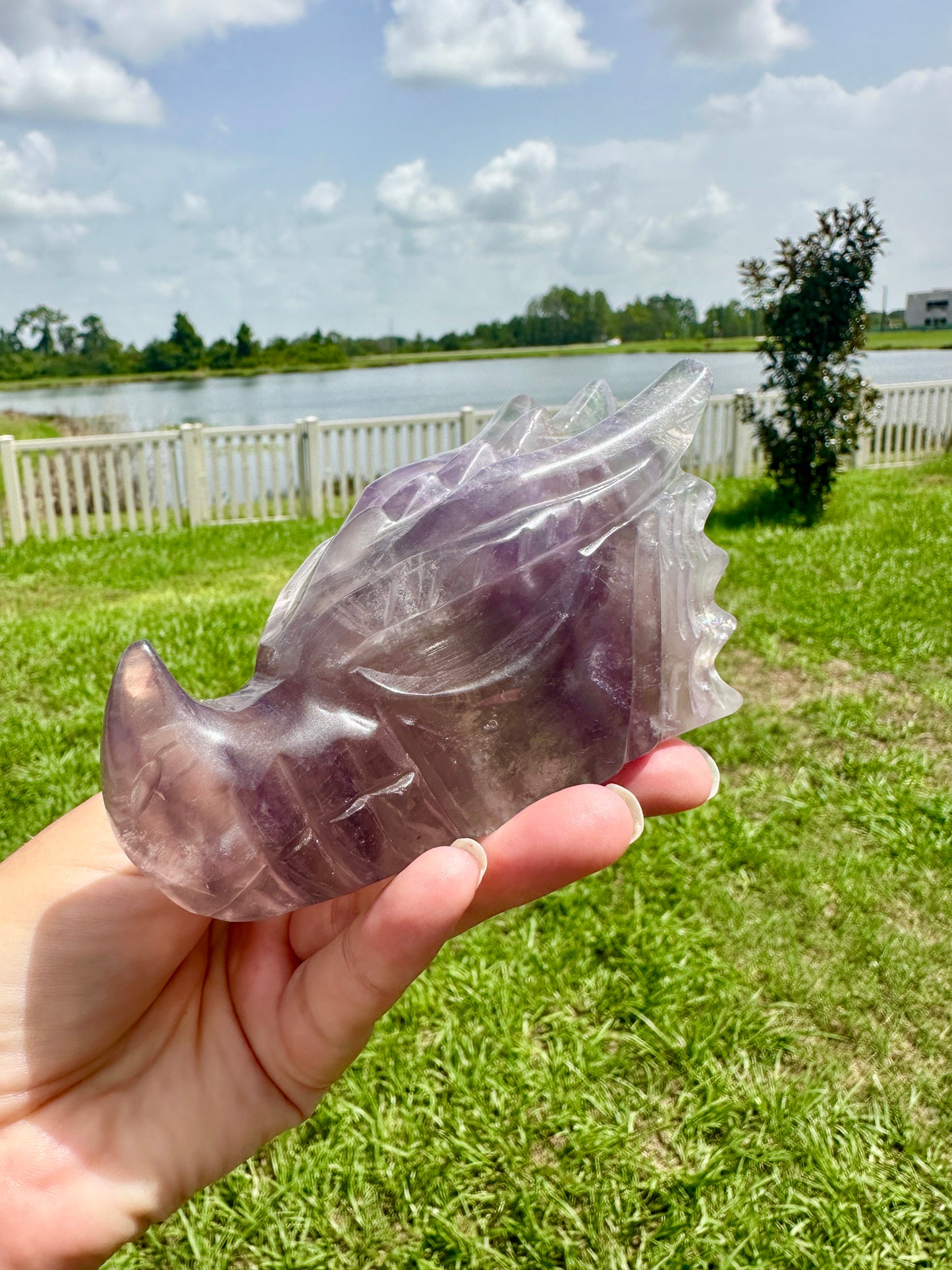 Fluorite Dragon Head – Unique Crystal Sculpture, Healing Stone, Home Decor, Feng Shui, Gift for Crystal Collectors