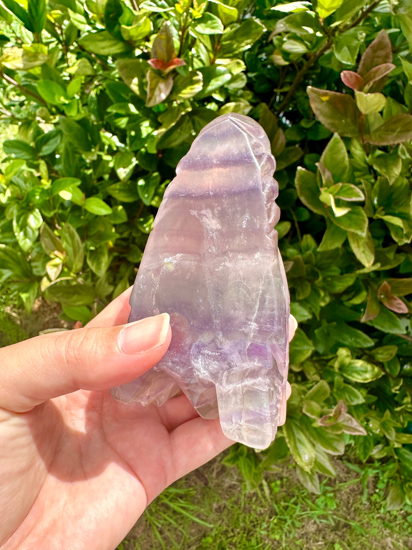 Fluorite Dragon Head – Unique Crystal Sculpture, Healing Stone, Home Decor, Feng Shui, Gift for Crystal Collectors