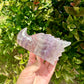 Fluorite Dragon Head – Unique Crystal Sculpture, Healing Stone, Home Decor, Feng Shui, Gift for Crystal Collectors