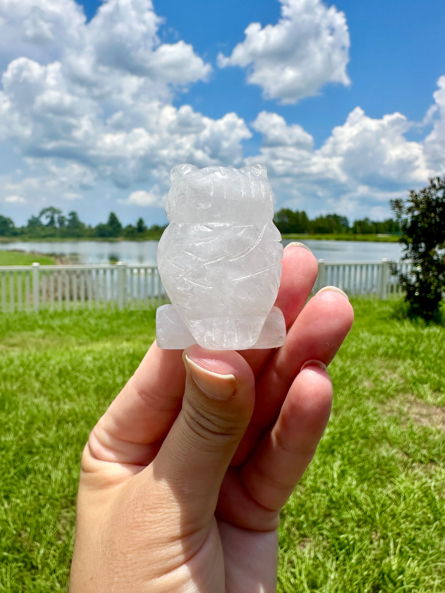 Clear Quartz Owl Carving, Elegant and Enlightening Decor, Perfect for Home or Office, Unique Gift for Owl Lovers