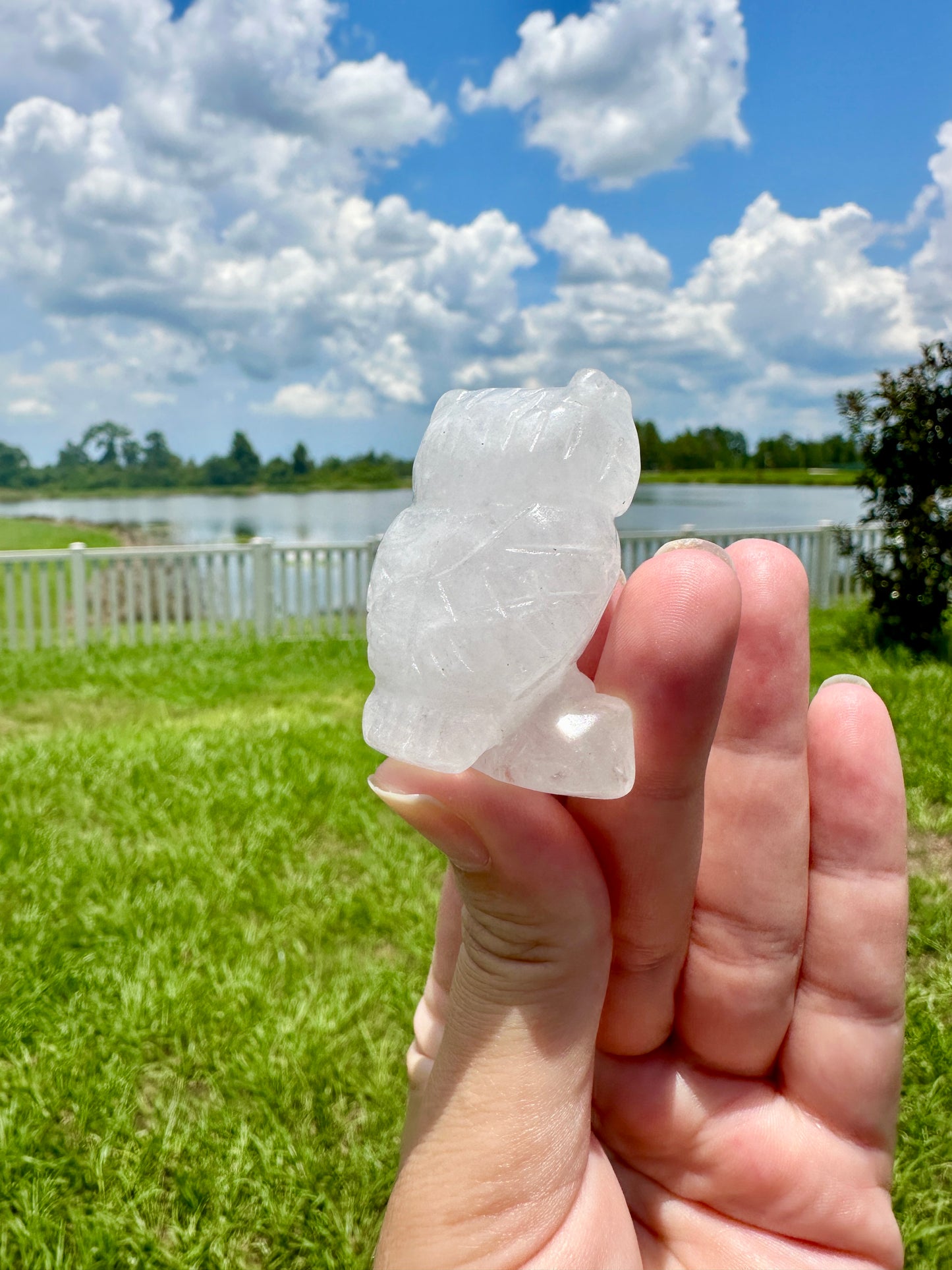 Clear Quartz Owl Carving, Elegant and Enlightening Decor, Perfect for Home or Office, Unique Gift for Owl Lovers