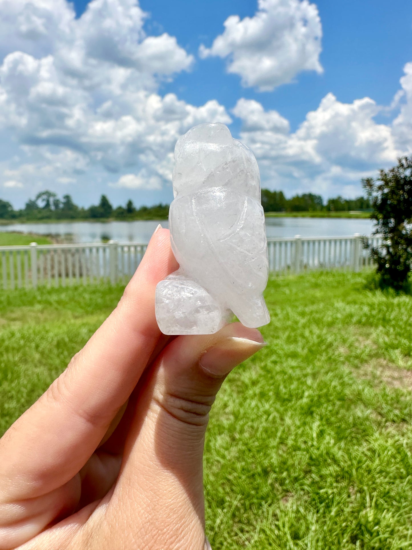 Clear Quartz Owl Carving, Elegant and Enlightening Decor, Perfect for Home or Office, Unique Gift for Owl Lovers