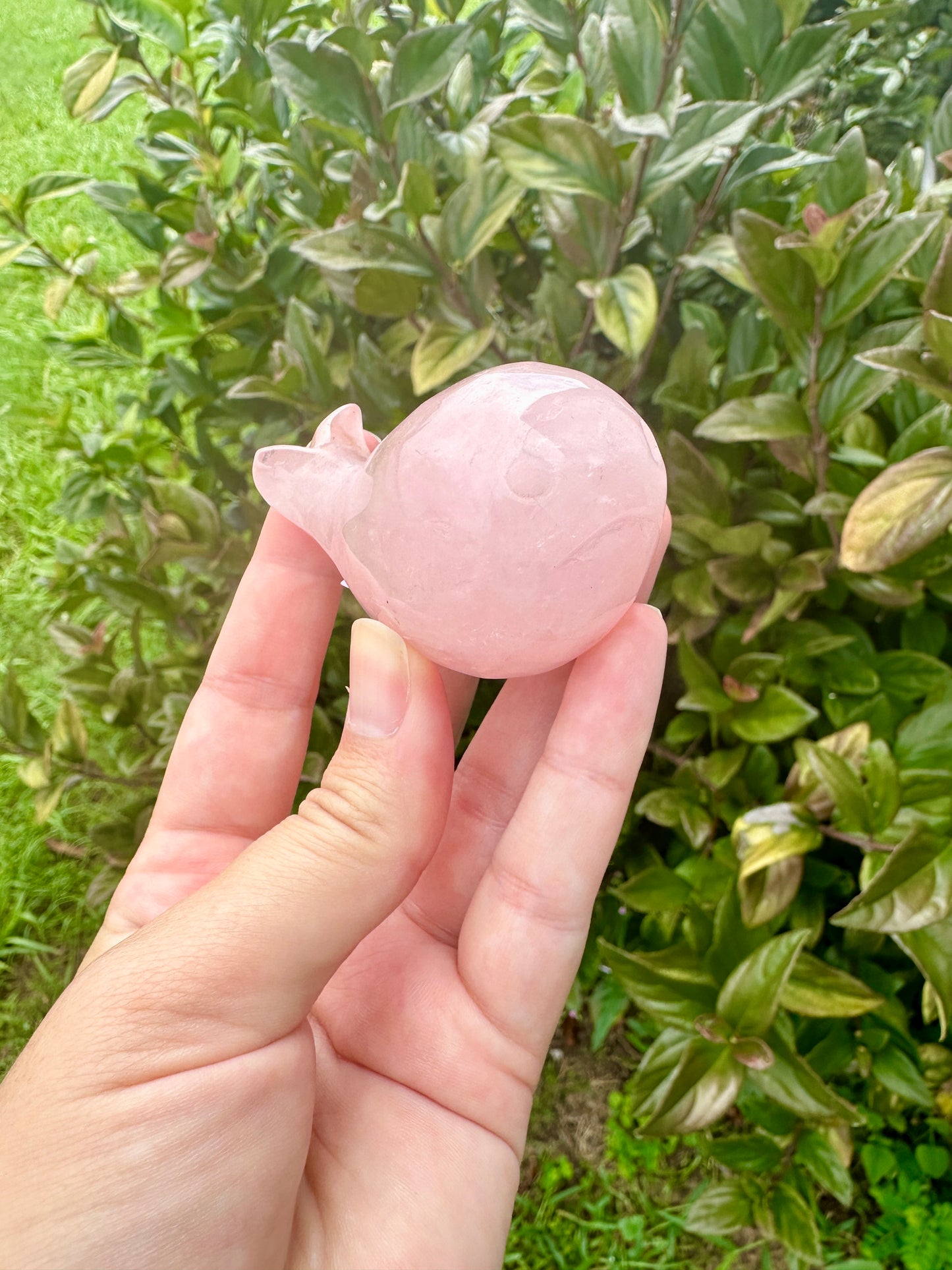 Rose Quartz Whale Carving, Elegant and Heartwarming Decor, Perfect for Home or Office, Unique Gift for Whale Lovers