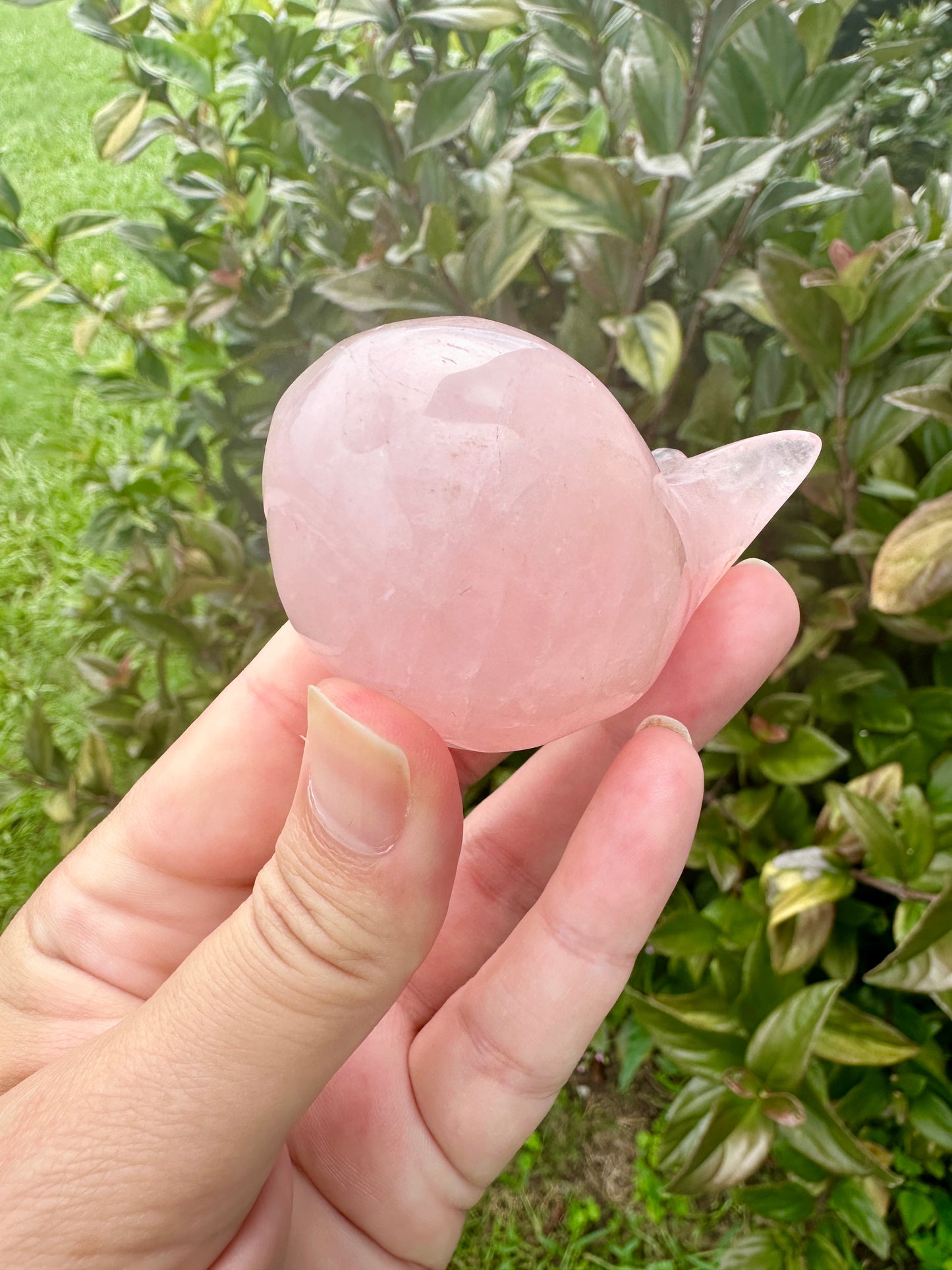 Rose Quartz Whale Carving, Elegant and Heartwarming Decor, Perfect for Home or Office, Unique Gift for Whale Lovers