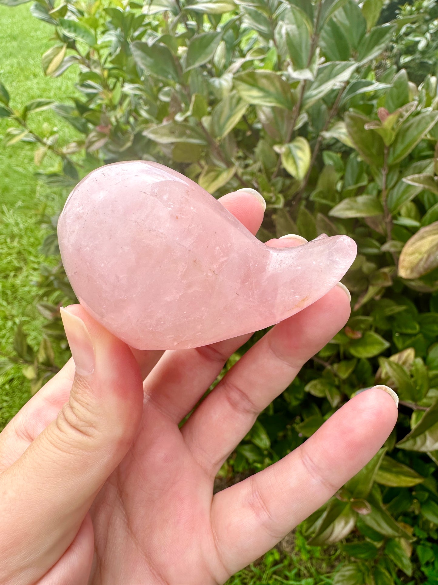 Rose Quartz Whale Carving, Elegant and Heartwarming Decor, Perfect for Home or Office, Unique Gift for Whale Lovers