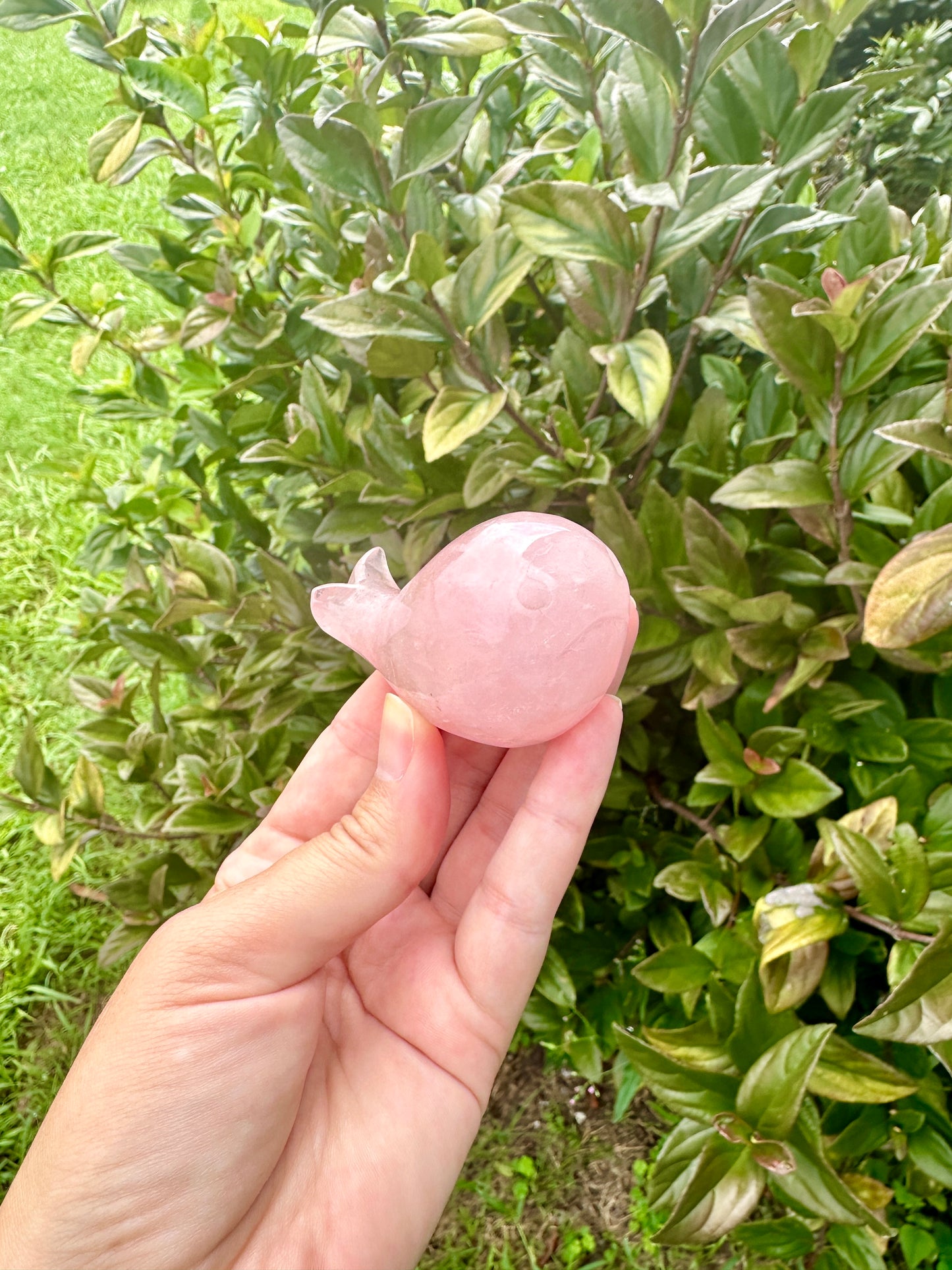 Rose Quartz Whale Carving, Elegant and Heartwarming Decor, Perfect for Home or Office, Unique Gift for Whale Lovers