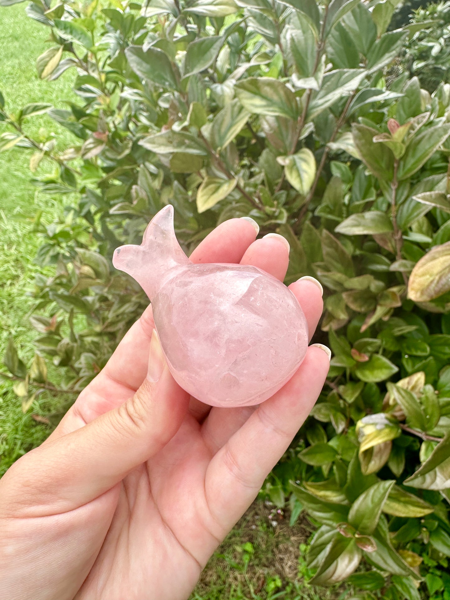 Rose Quartz Whale Carving, Elegant and Heartwarming Decor, Perfect for Home or Office, Unique Gift for Whale Lovers