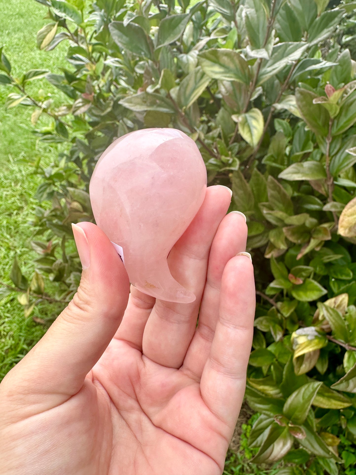 Rose Quartz Whale Carving, Elegant and Heartwarming Decor, Perfect for Home or Office, Unique Gift for Whale Lovers